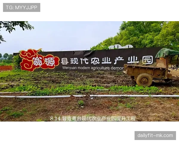 韦阿技术革新引领行业智能化升级,全面推动产业高质量发展 韦阿技术革新引领行业智能化升级,全面推动产业高质量发展